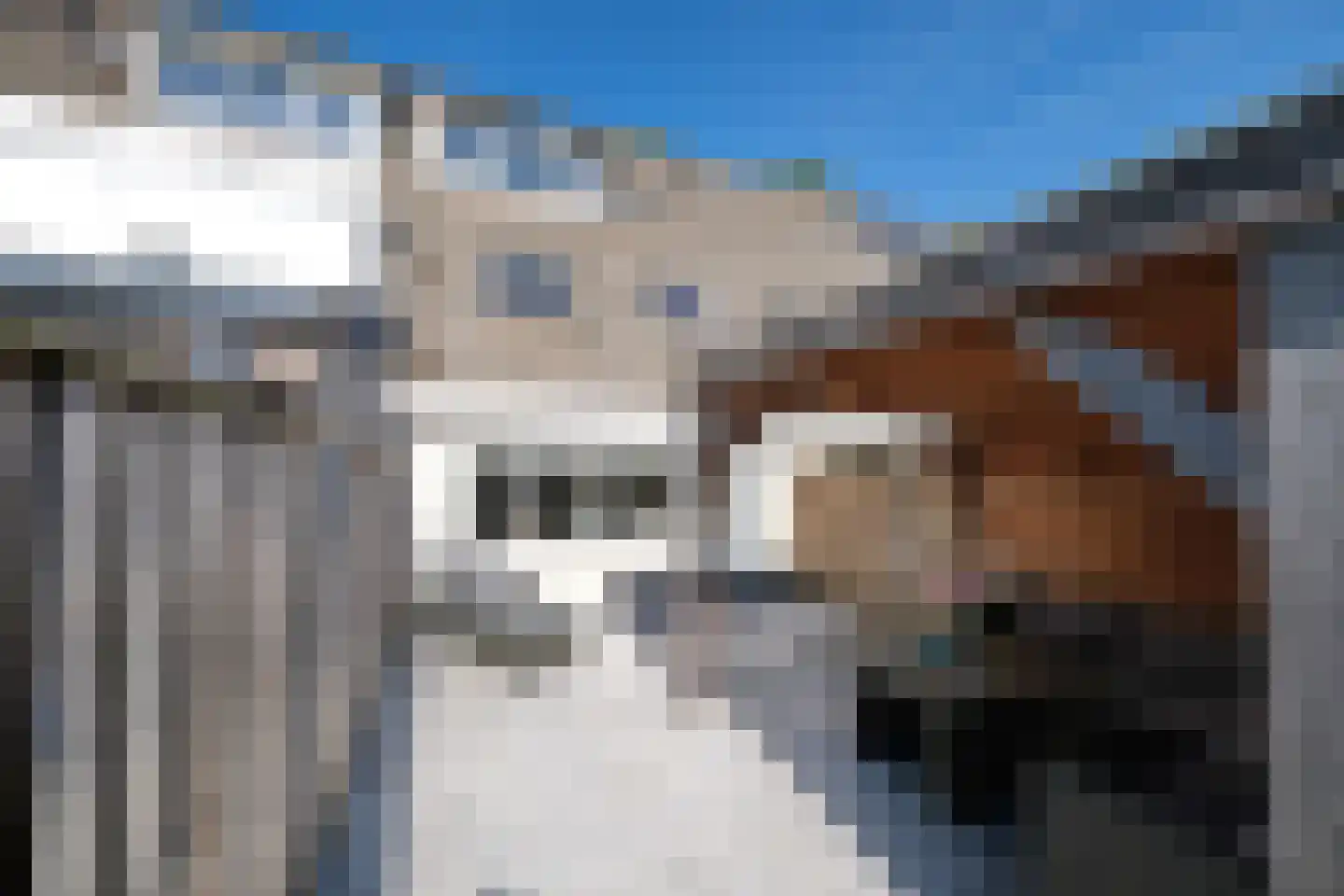 Adenauersingel 15 Ede thumbnail 26