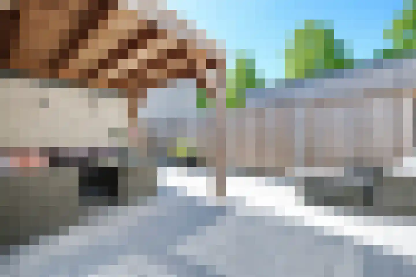 Adenauersingel 15 Ede thumbnail 4
