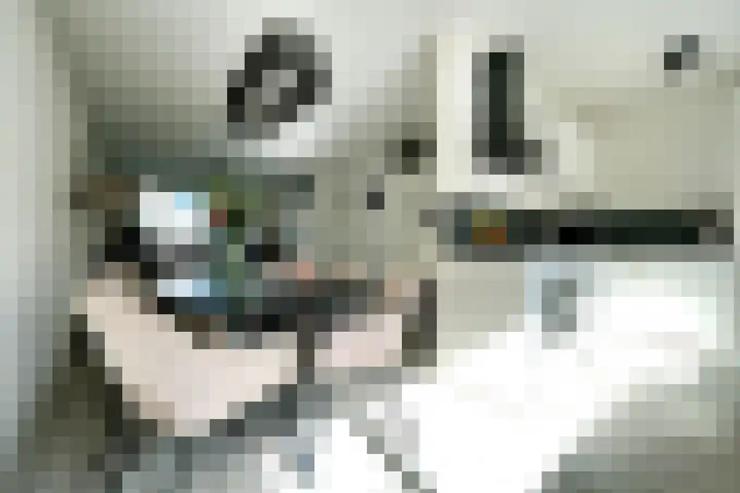 Adenauersingel 15 Ede thumbnail 8