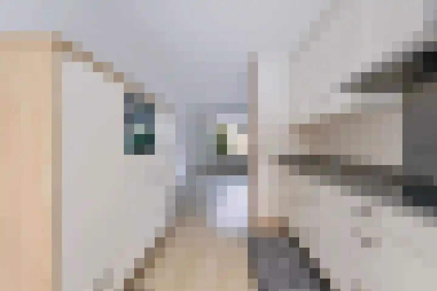 Adenauerstraat 4 Zevenaar thumbnail 11