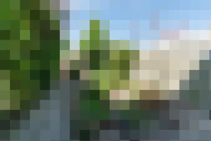Adenstraat 12 Delft thumbnail 9