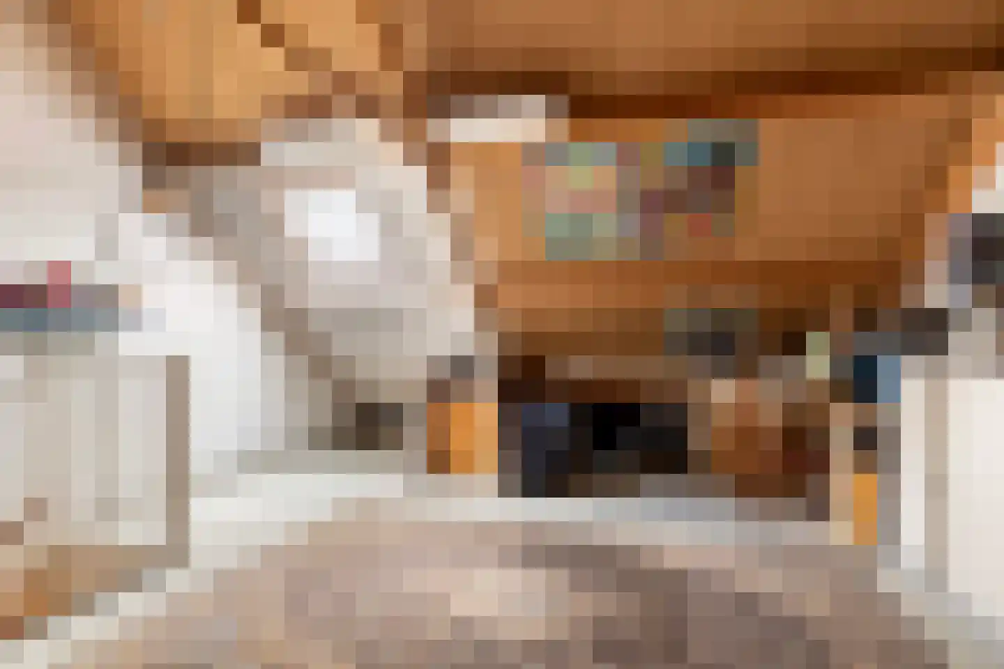 Adenstraat 20 Rotterdam thumbnail 22
