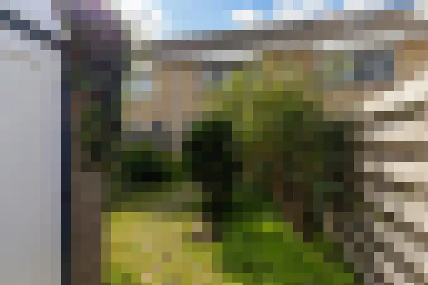 Adenstraat 20 Rotterdam thumbnail 27