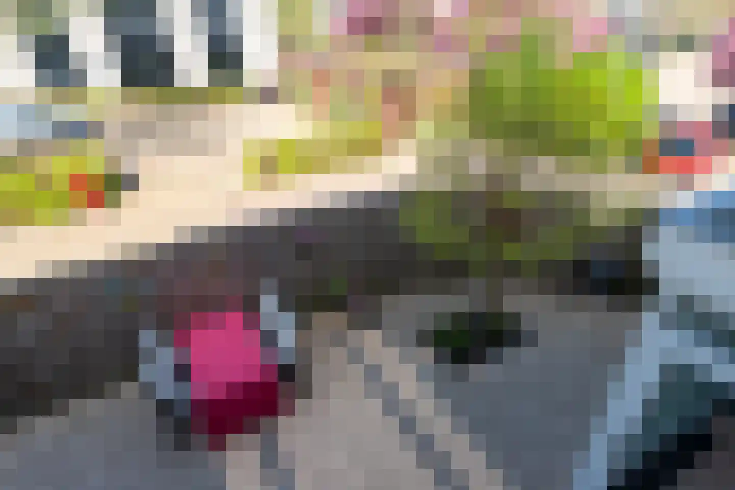 Aderpolderweg 26 Gouda thumbnail 33
