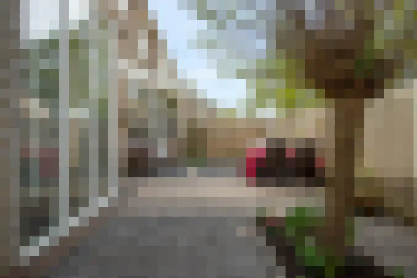 Aderpolderweg 26 Gouda thumbnail 4