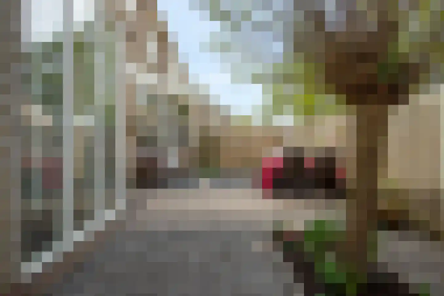 Aderpolderweg 26 Gouda thumbnail 49
