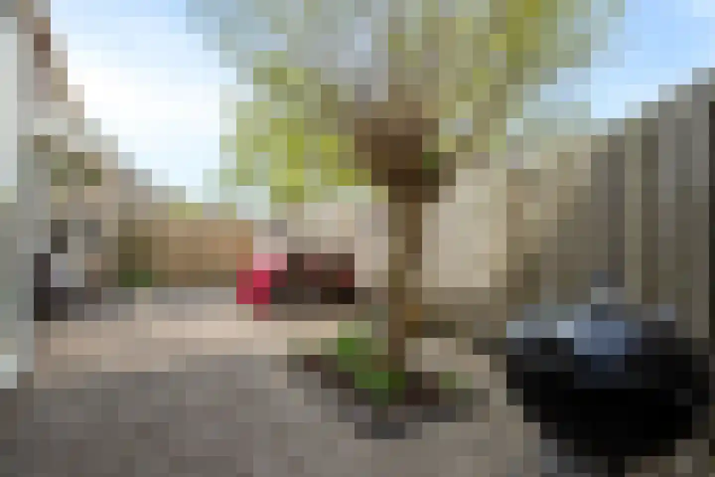Aderpolderweg 26 Gouda thumbnail 50