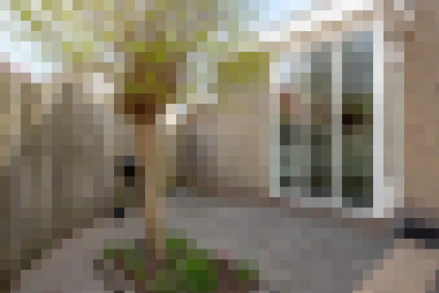 Aderpolderweg 26 Gouda thumbnail 52