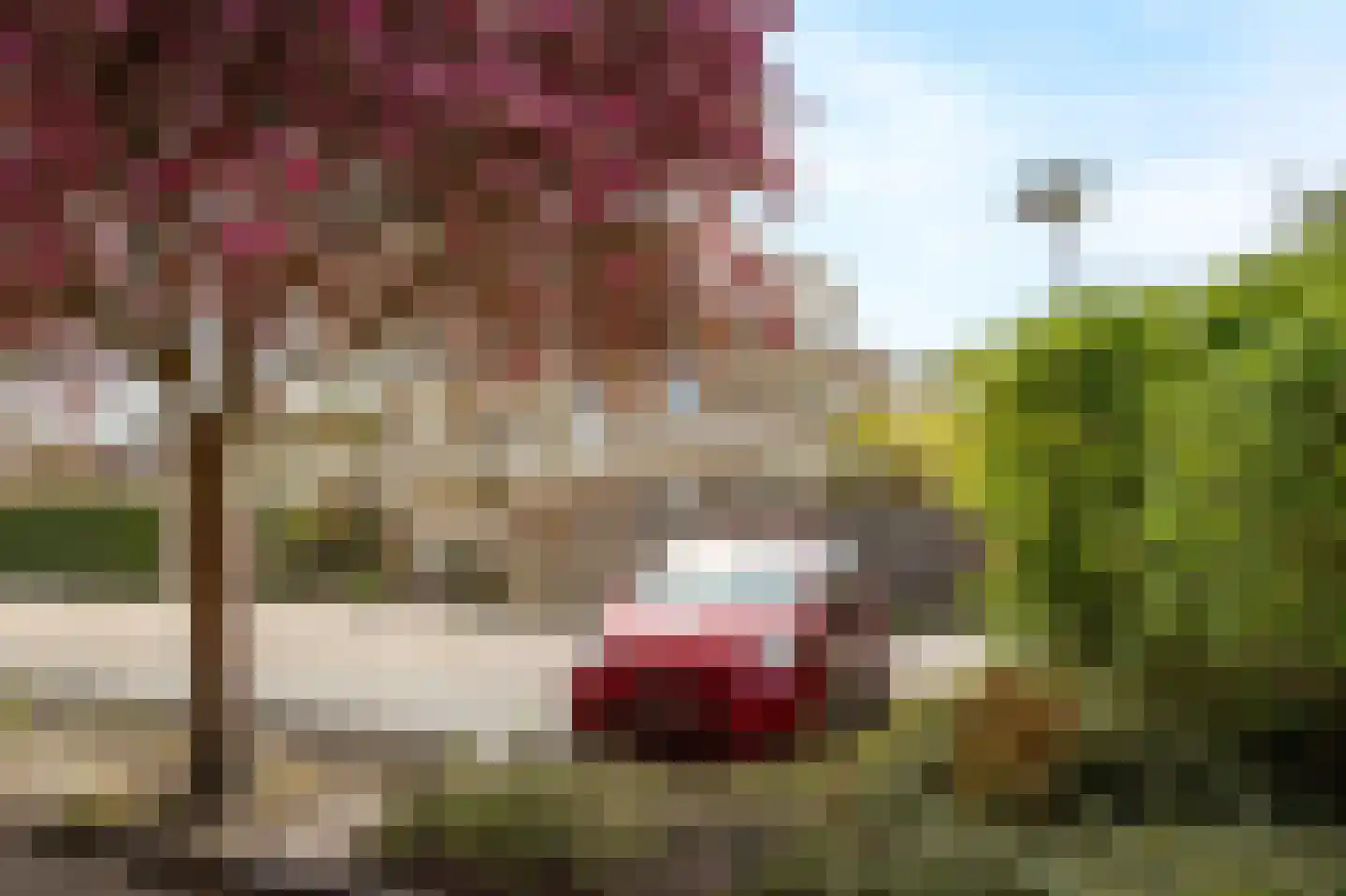 Aderpolderweg 26 Gouda thumbnail 55