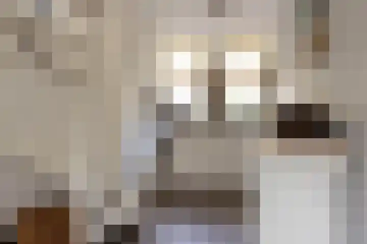 Aderweg 8 R15 Roelofarendsveen thumbnail 14
