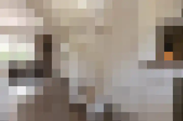 Aderweg 8 R15 Roelofarendsveen thumbnail 16