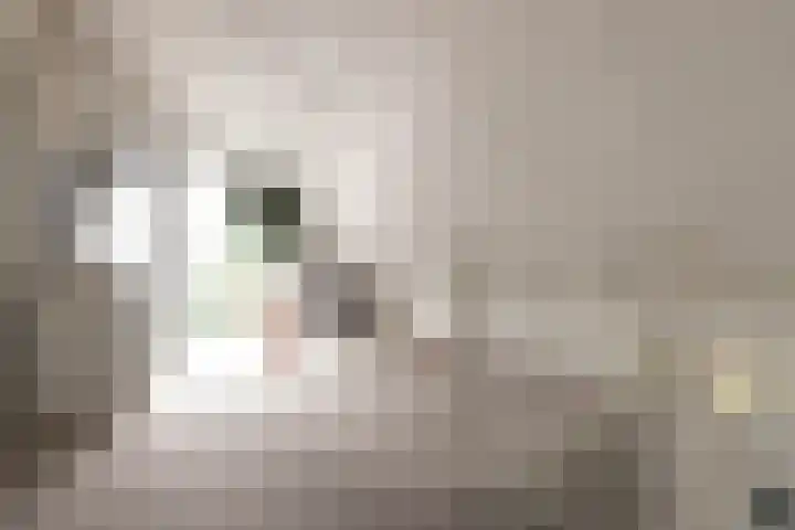 Aderweg 8 R15 Roelofarendsveen thumbnail 25