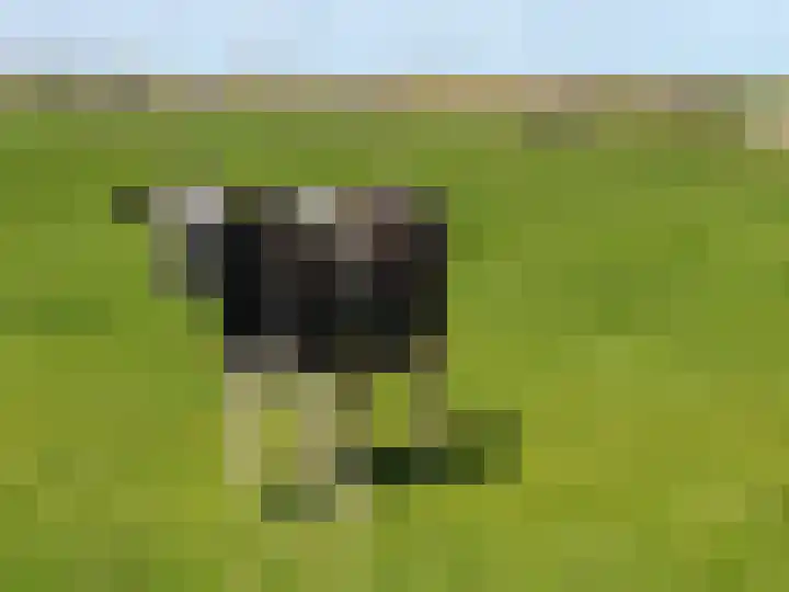 Aderweg 8 R15 Roelofarendsveen thumbnail 34