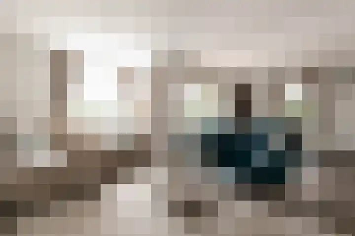 Aderweg 8 R15 Roelofarendsveen thumbnail 4