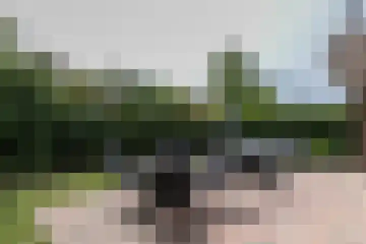 Aderweg 8 R15 Roelofarendsveen thumbnail 5