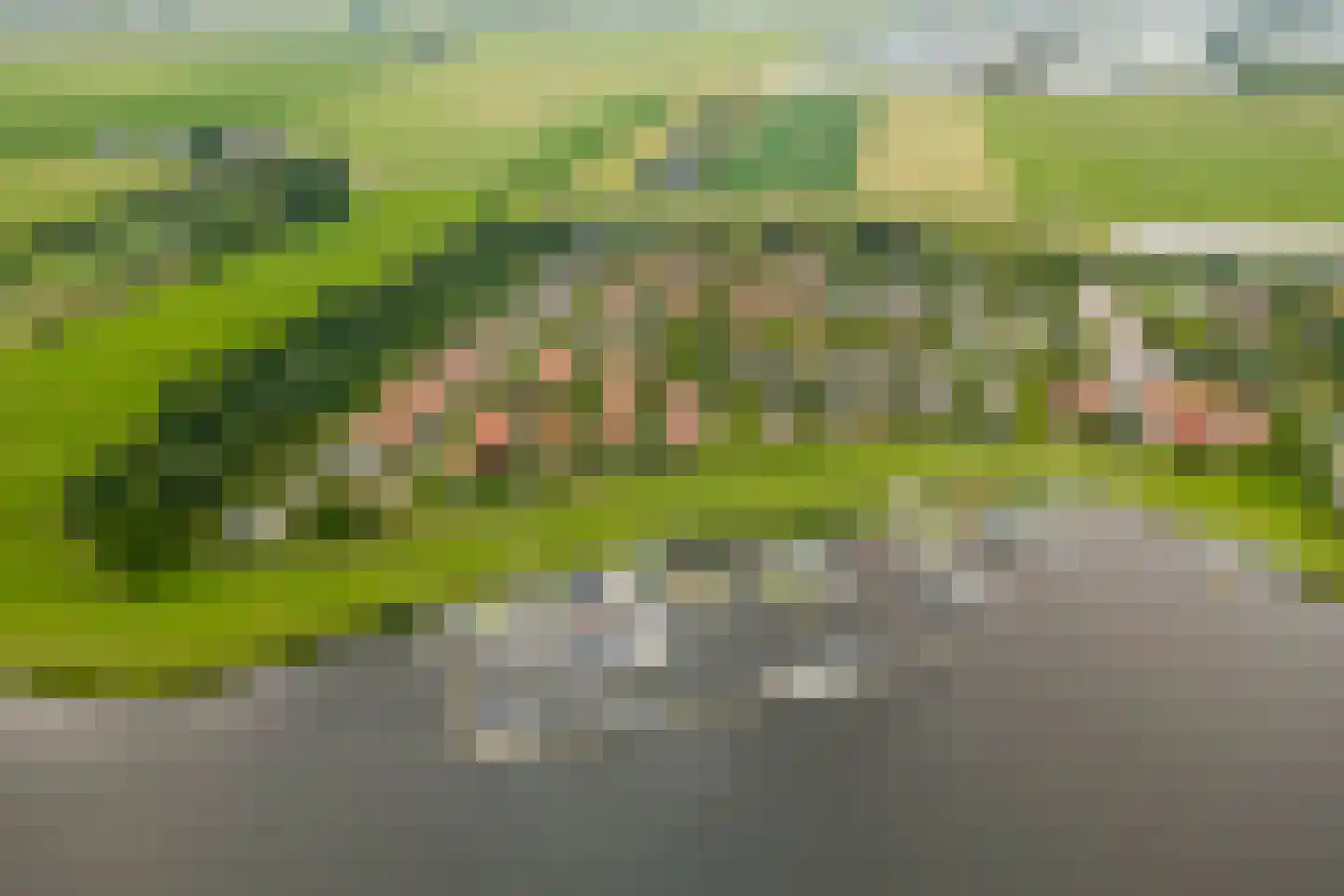 Aderweg 8 R34 Roelofarendsveen