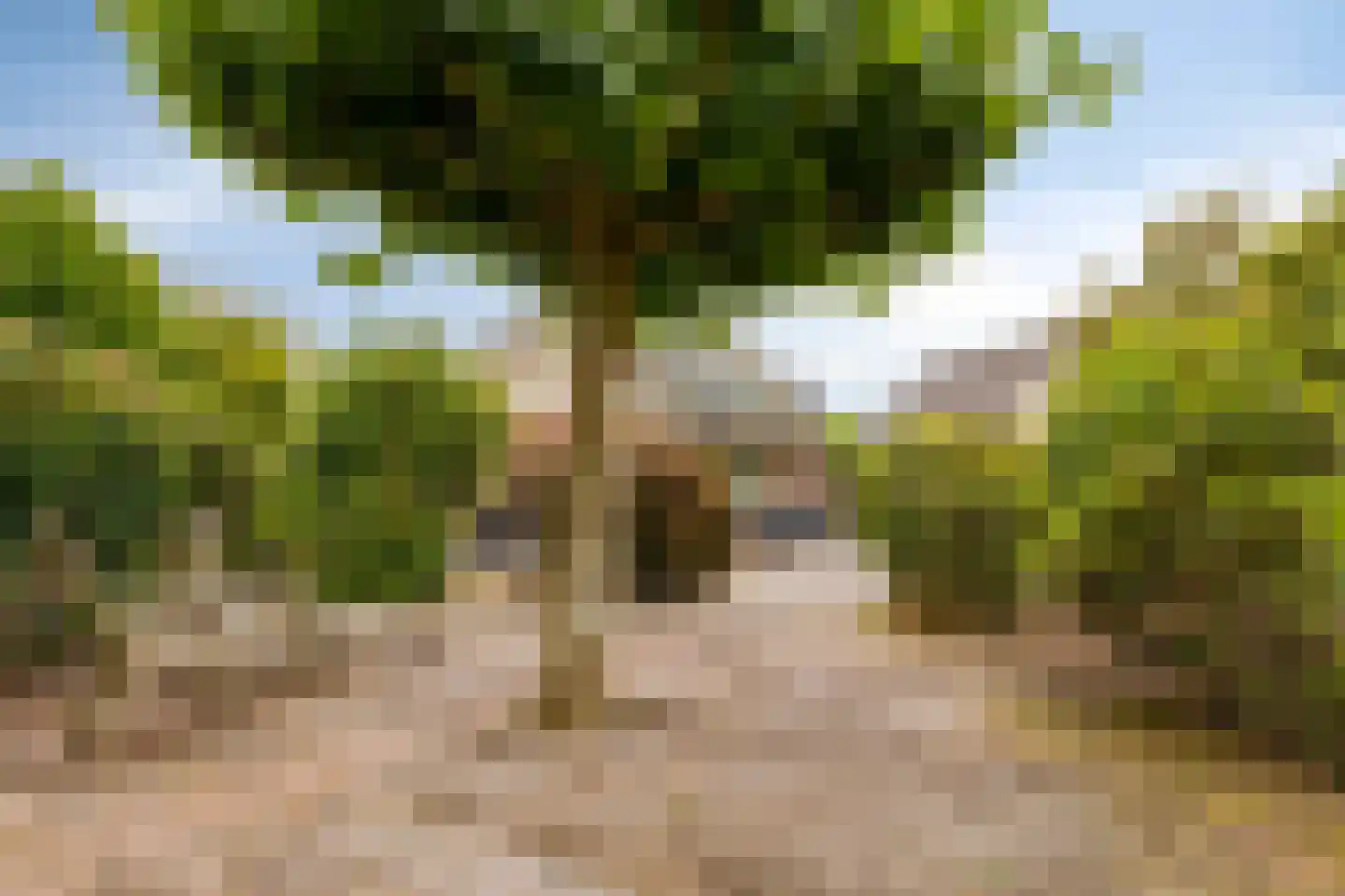 Aderweg 8 R34 Roelofarendsveen thumbnail 11