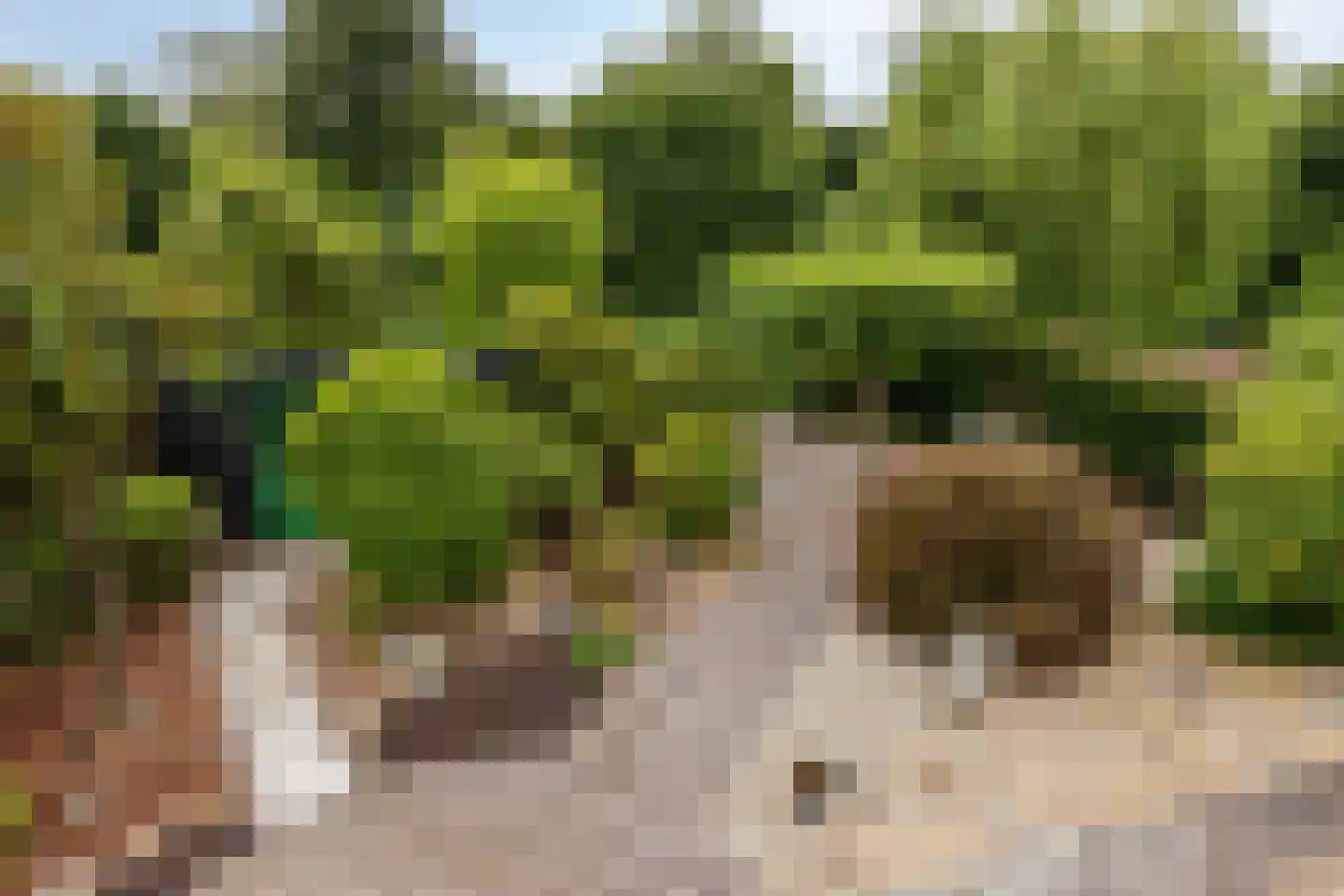 Aderweg 8 R34 Roelofarendsveen thumbnail 12
