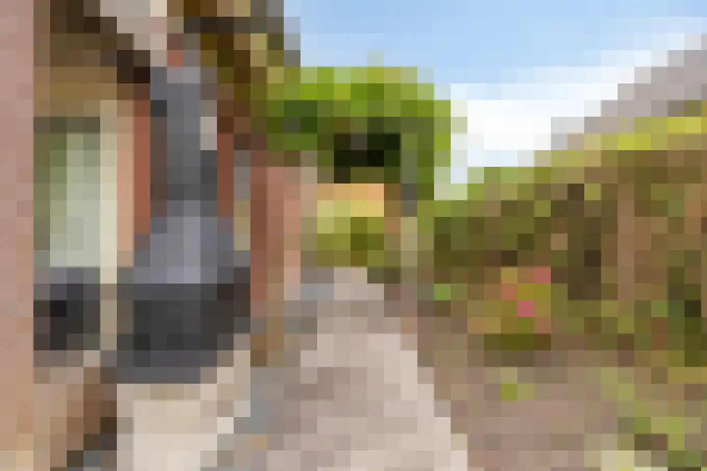 Aderweg 8 R34 Roelofarendsveen thumbnail 13