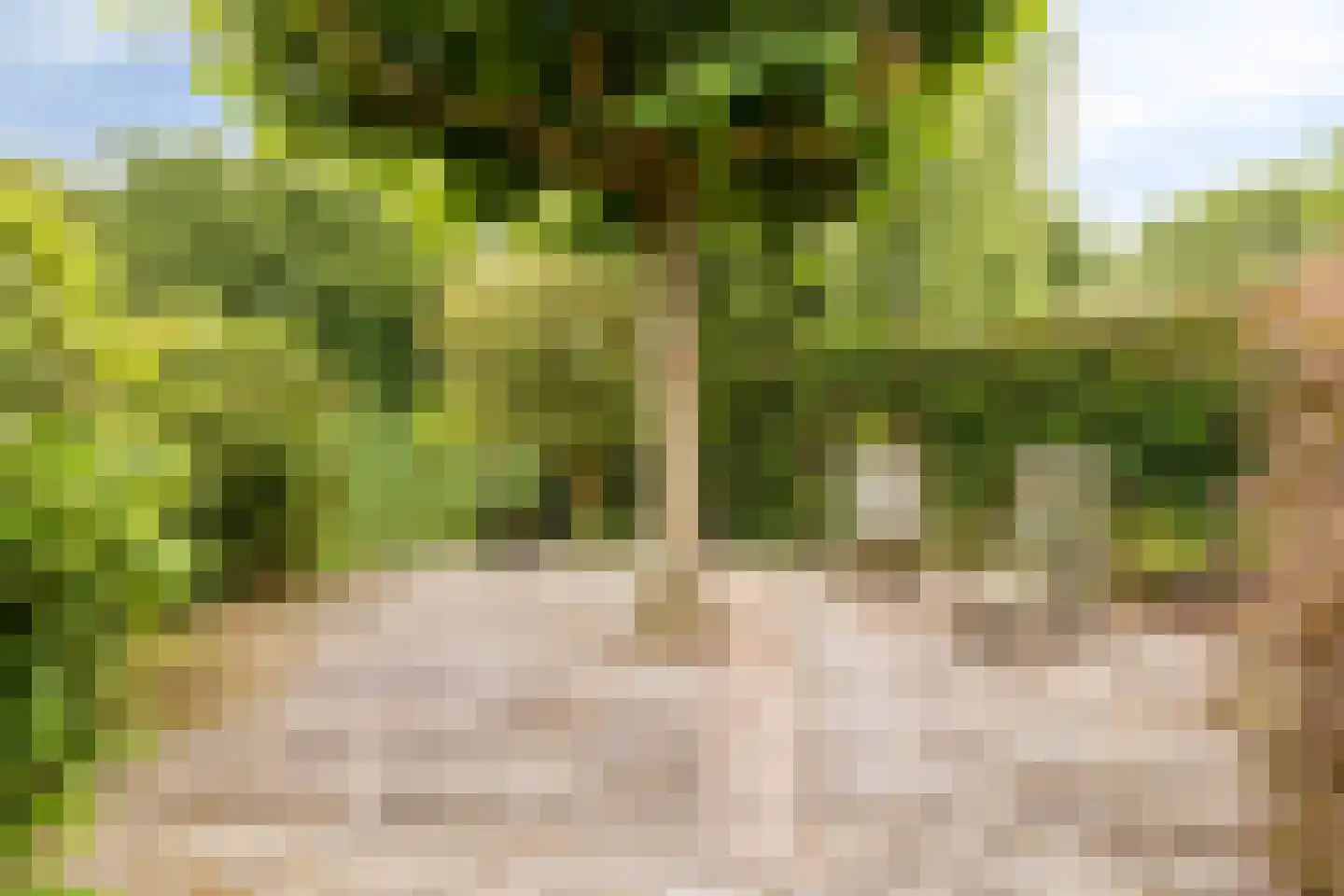 Aderweg 8 R34 Roelofarendsveen thumbnail 15