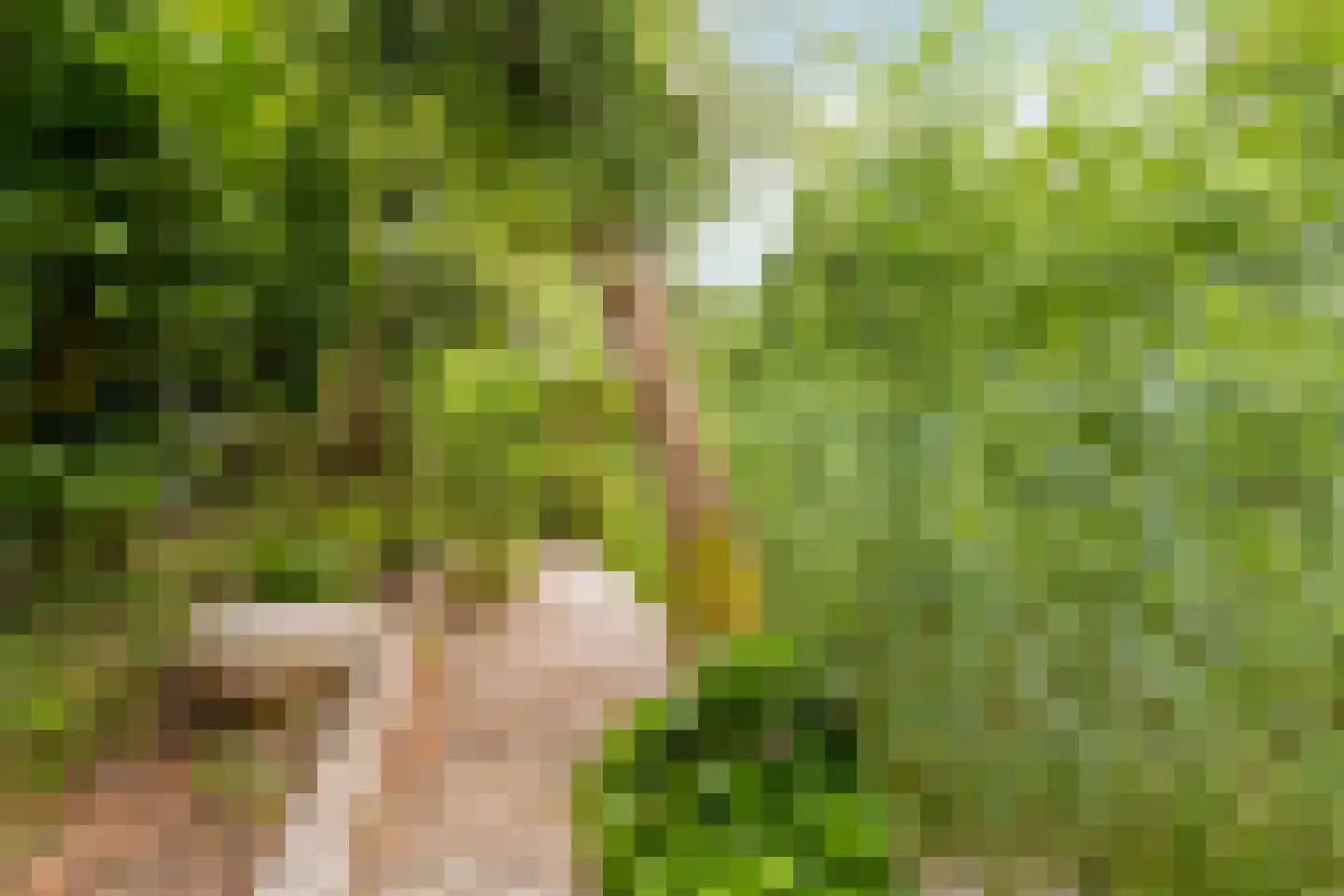Aderweg 8 R34 Roelofarendsveen thumbnail 16