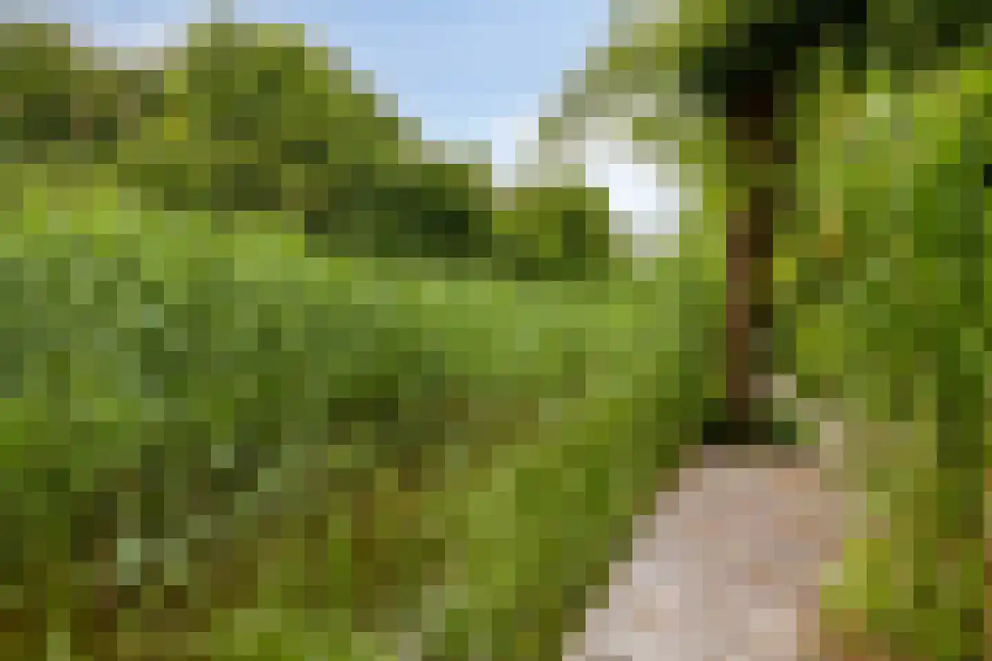 Aderweg 8 R34 Roelofarendsveen thumbnail 17