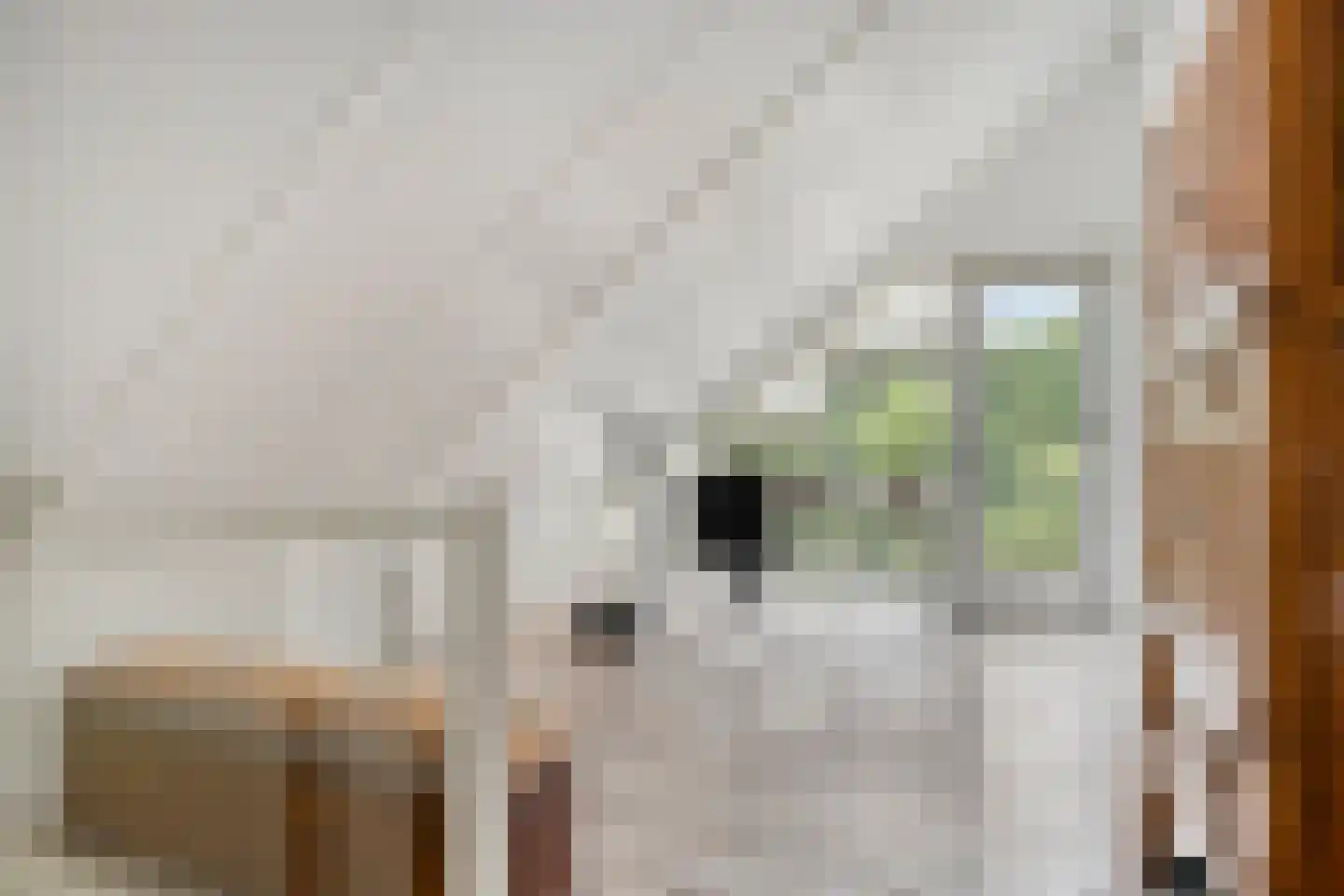 Aderweg 8 R34 Roelofarendsveen thumbnail 28
