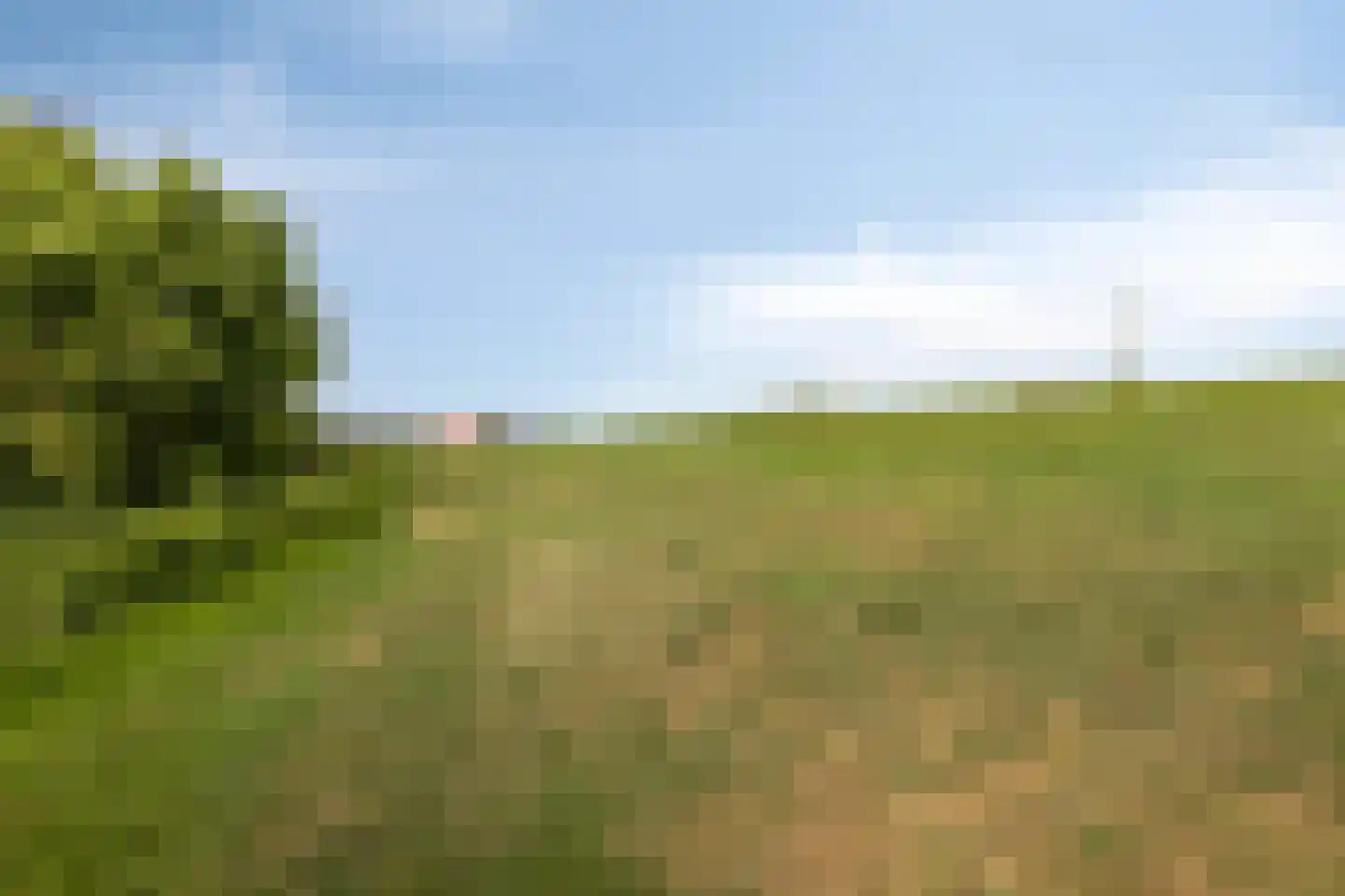 Aderweg 8 R34 Roelofarendsveen thumbnail 36
