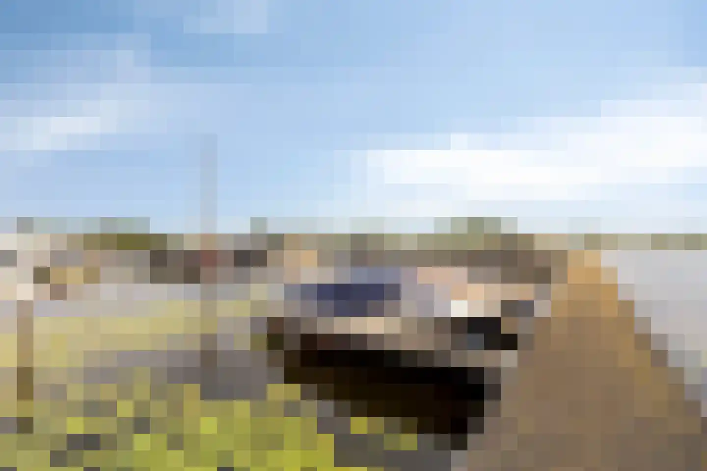 Aderweg 8 R34 Roelofarendsveen thumbnail 37