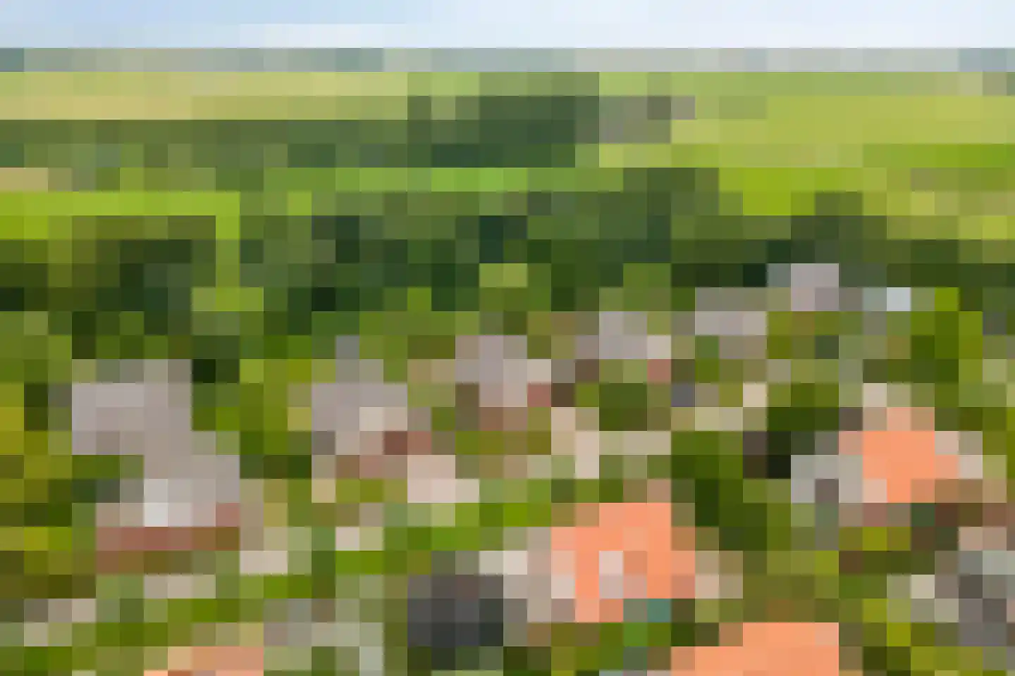 Aderweg 8 R34 Roelofarendsveen thumbnail 4