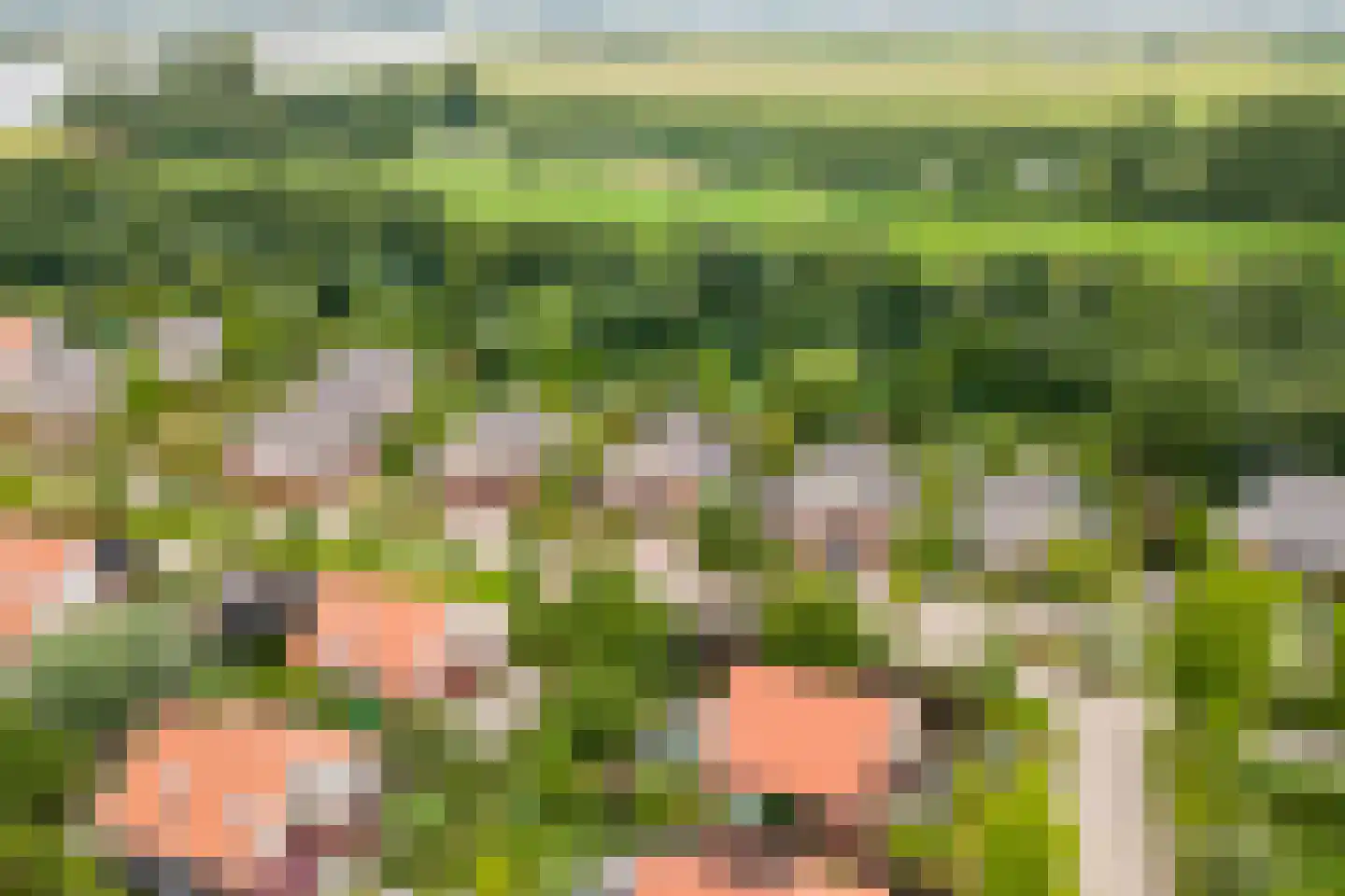 Aderweg 8 R34 Roelofarendsveen thumbnail 5