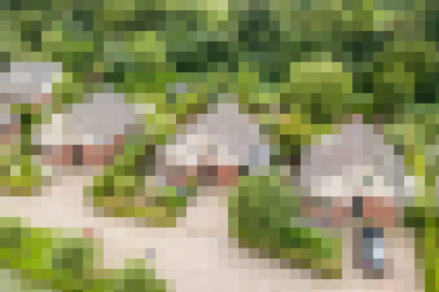 Aderweg 8 R34 Roelofarendsveen thumbnail 6