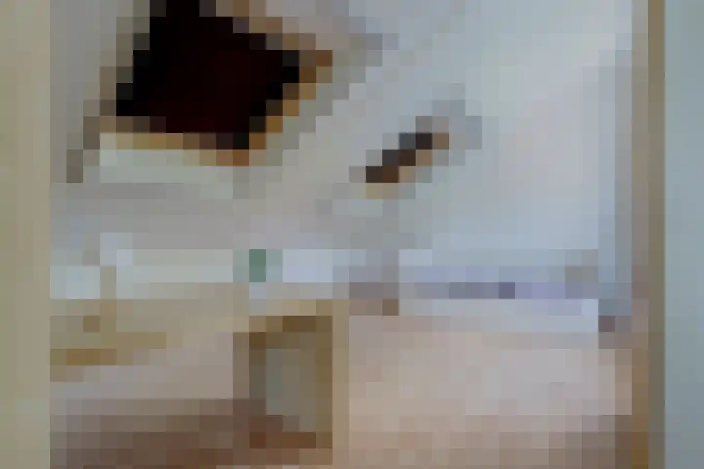 Aderweg 8 R40 Roelofarendsveen thumbnail 20