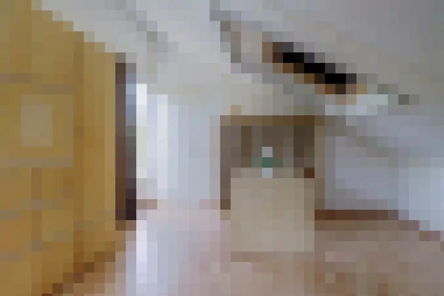 Aderweg 8 R40 Roelofarendsveen thumbnail 22