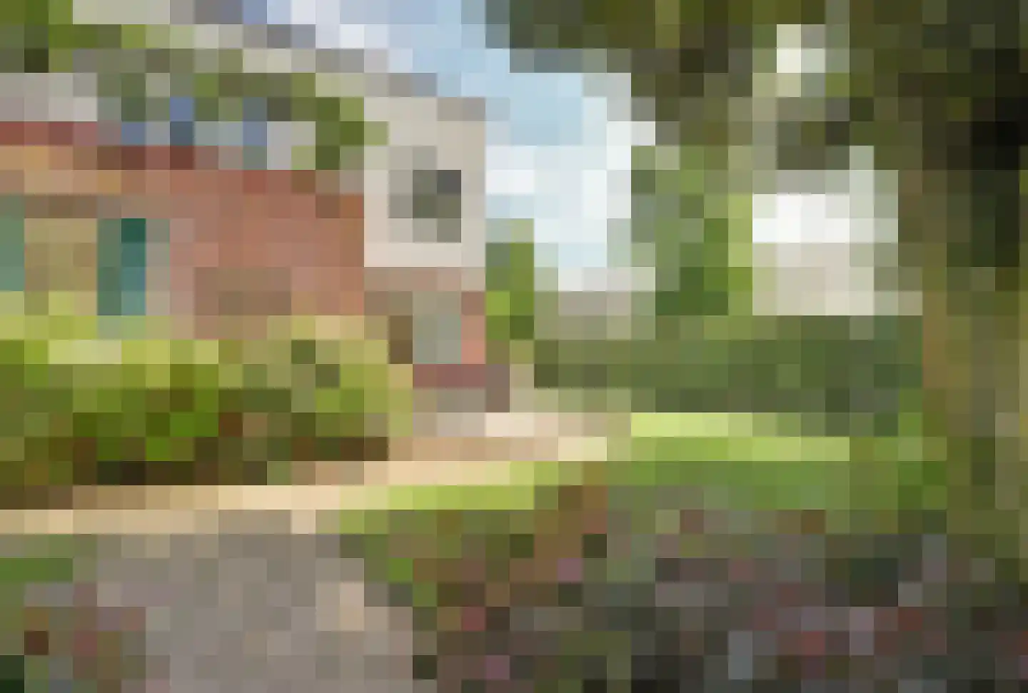 Aderweg 8 R40 Roelofarendsveen thumbnail 29