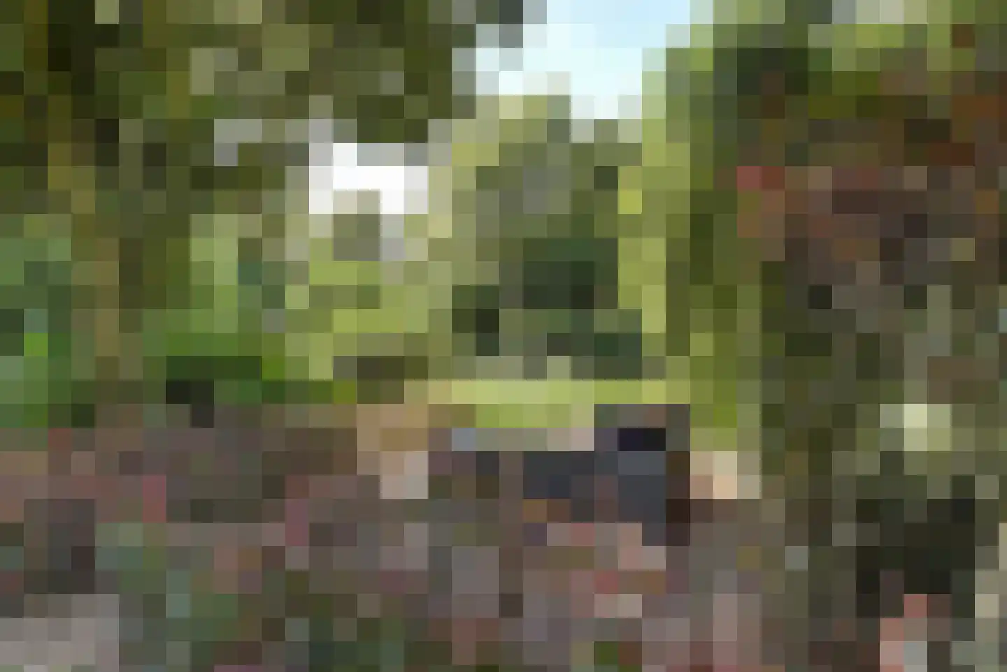 Aderweg 8 R40 Roelofarendsveen thumbnail 31