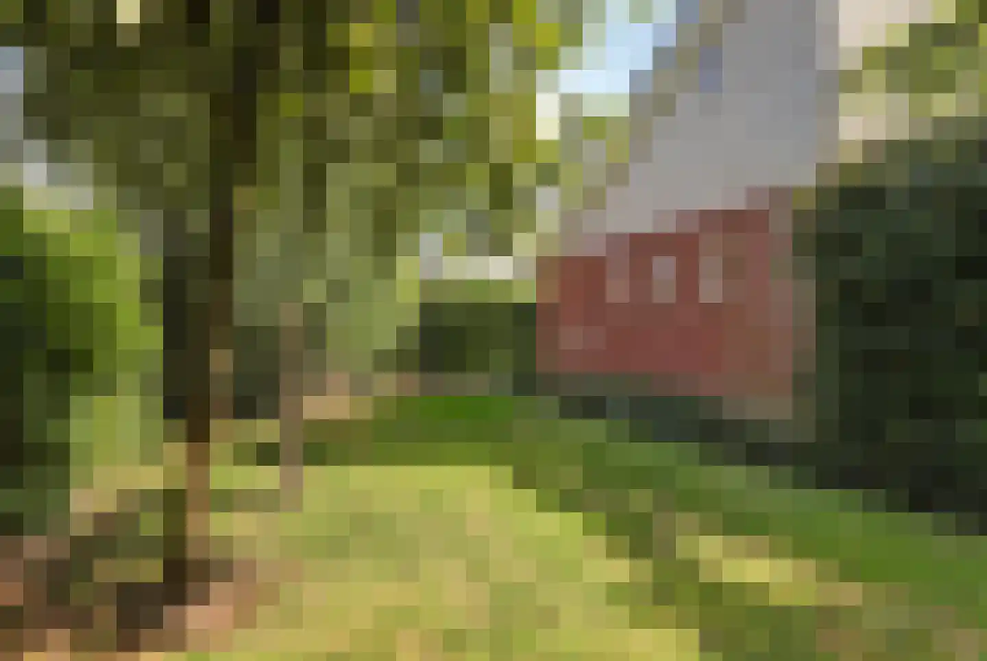 Aderweg 8 R40 Roelofarendsveen thumbnail 33