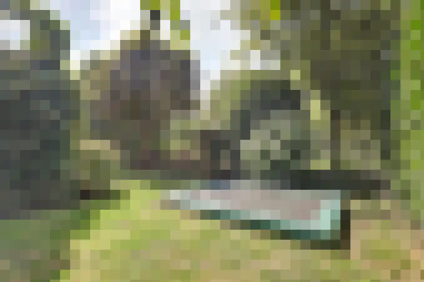 Aderweg 8 R40 Roelofarendsveen thumbnail 34