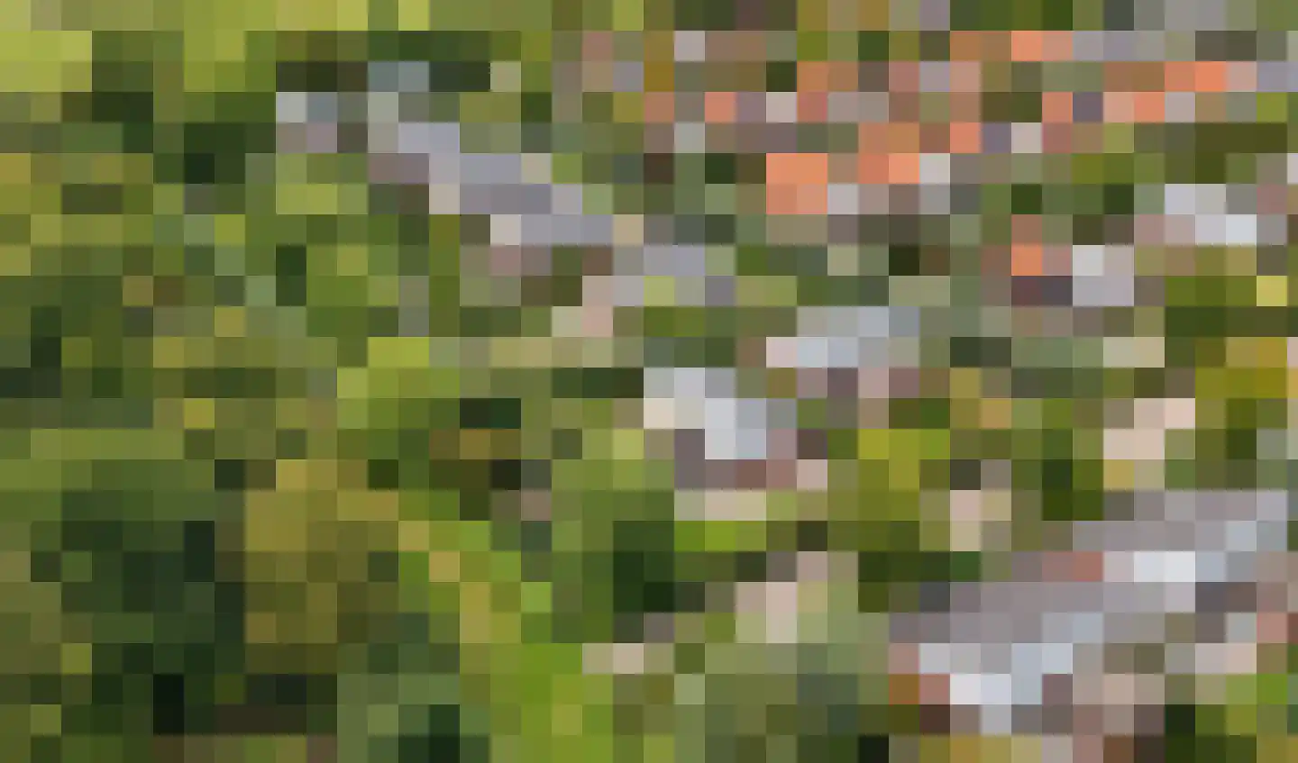 Aderweg 8 R40 Roelofarendsveen thumbnail 36