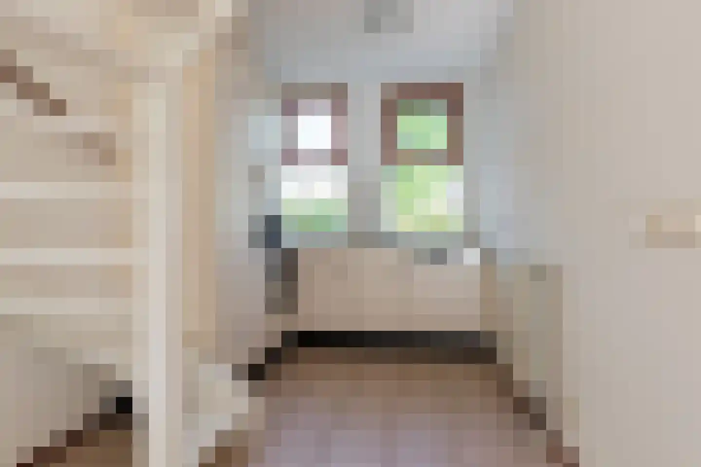 Aderweg 8 R62 Roelofarendsveen thumbnail 14