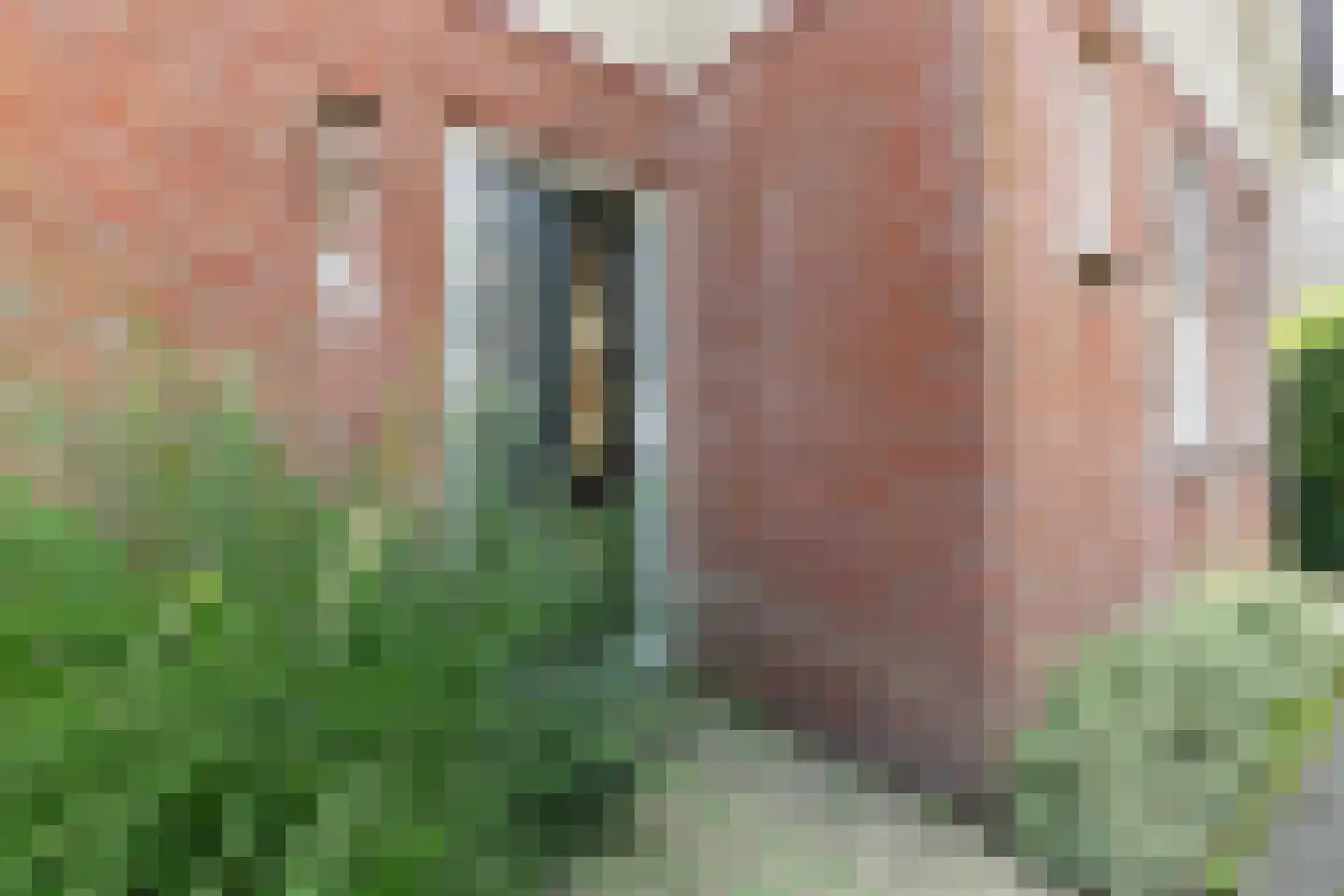 Aderweg 8 R62 Roelofarendsveen thumbnail 9