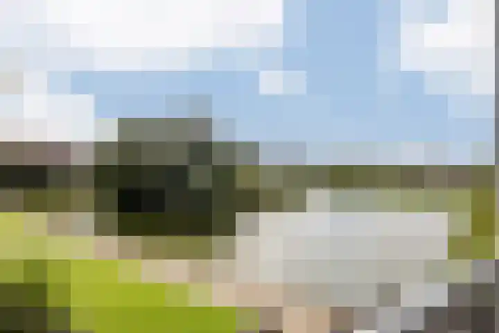 Adigestraat 117 Beverwijk thumbnail 25