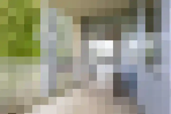 Adigestraat 125 Beverwijk thumbnail 21