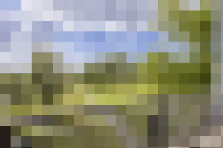 Adigestraat 125 Beverwijk thumbnail 23