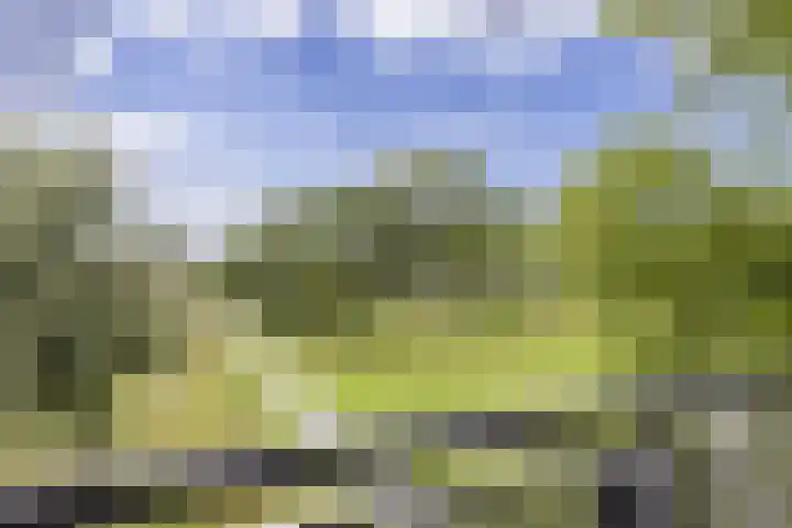 Adigestraat 125 Beverwijk thumbnail 24
