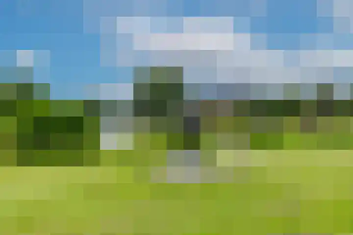 Adigestraat 125 Beverwijk thumbnail 31
