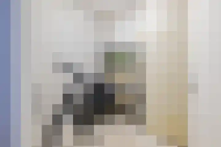 Adigestraat 166 Beverwijk thumbnail 27