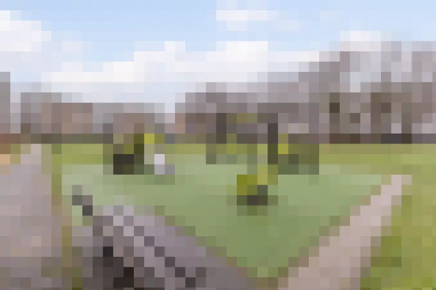 Adigestraat 184 Beverwijk thumbnail 24