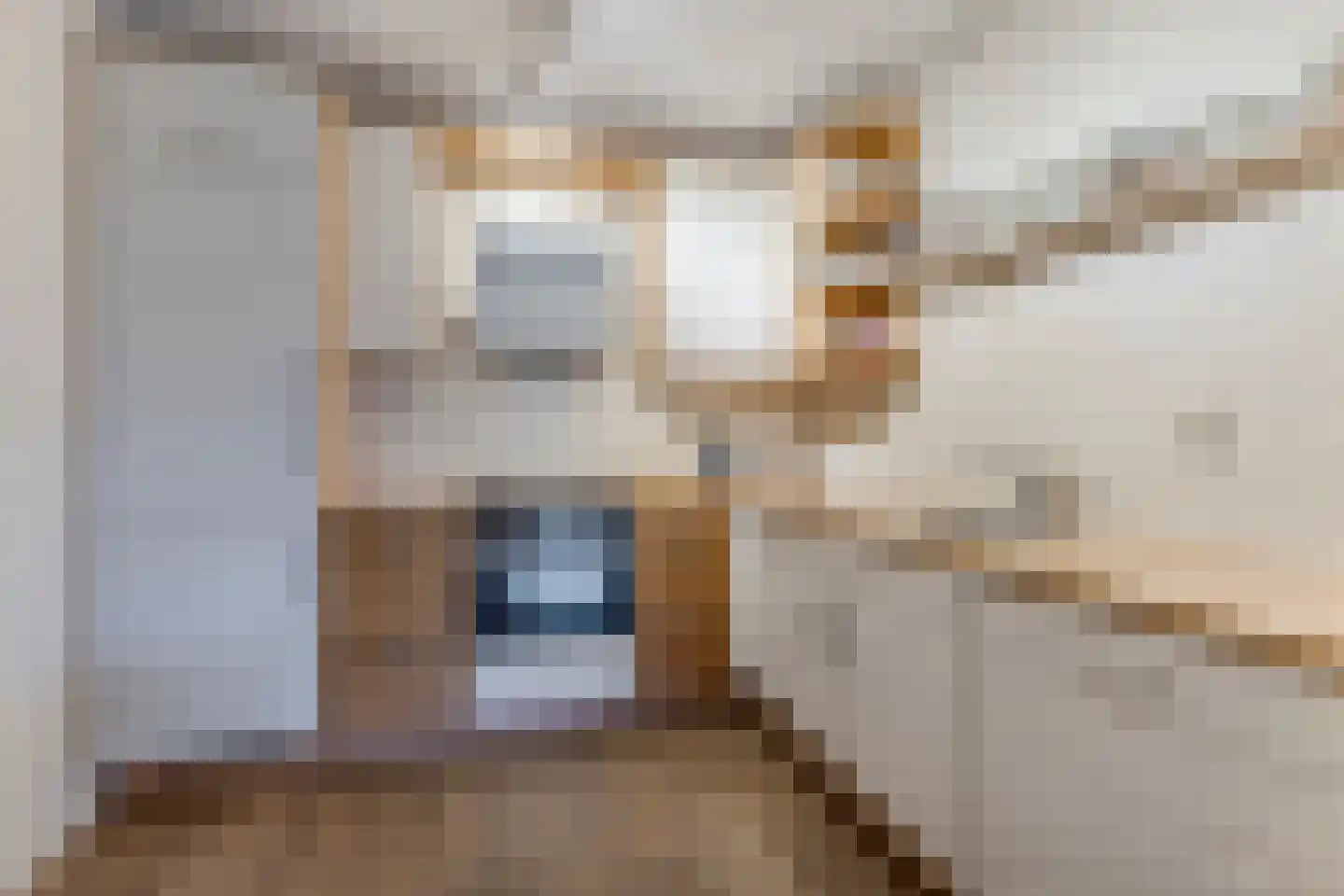 Adigestraat 184 Beverwijk thumbnail 7