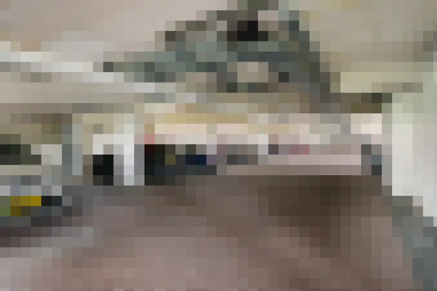 Adigestroom 230 Zoetermeer thumbnail 19